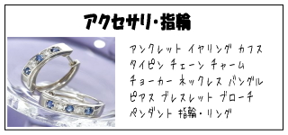 �A�N�Z�T���@�w��